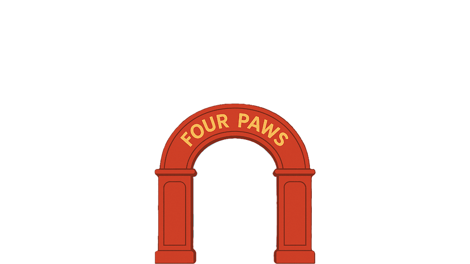 Adoption Background Layer 2